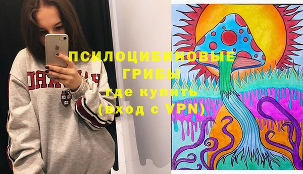 кокс Баксан