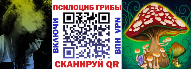 Псилоцибиновые грибы прущие грибы  KRAKEN зеркало  Бугульма 