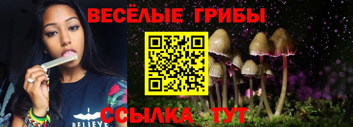Бугульма  как найти закладки  Вход с VPN  Псилоцибиновые грибы Psilocybine cubensis 